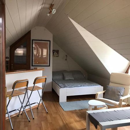 Privat Mini 307 Apartment Besenova Luaran gambar